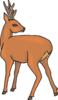 Deer Looking Back Clip Art